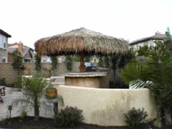 Palm Palapa